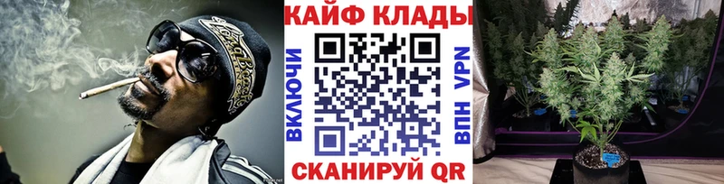 Цена Шенкурск COCAIN АМФЕТАМИН Гашиш МАРИХУАНА Мефедрон Alpha PVP