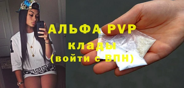 мет Алексин