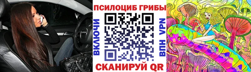где продают   Шенкурск  hydra онион  Галлюциногенные грибы Magic Shrooms 